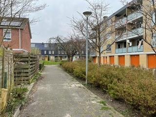 Kamer (22m²) met grote tuin vlakbij Zernike - Afbeelding 23