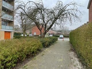 Kamer (22m²) met grote tuin vlakbij Zernike - Afbeelding 22
