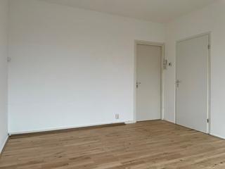 Kamer (22m²) met grote tuin vlakbij Zernike - Afbeelding 11