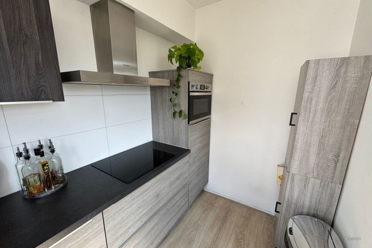3-kamerappartement met balkon in hartje Arnhem - Afbeelding 9