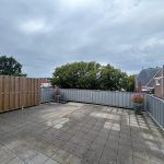 Groot terras en vrij uitzicht in Oud-Rijswijk - Afbeelding 2