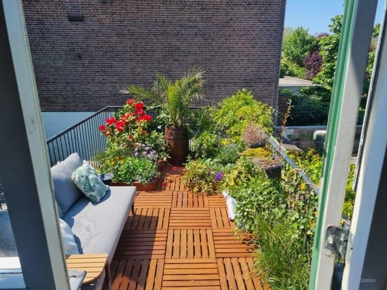 Gemeubileerd jaren '30 huis in Oudwijk - Afbeelding 3