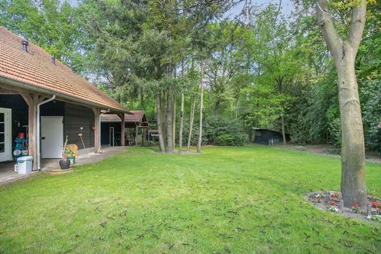 Detached living by the forest in Erp - Image 11