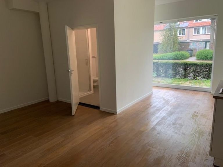 Lichte studio van 43 m2 in Prinsejagt - Afbeelding 2