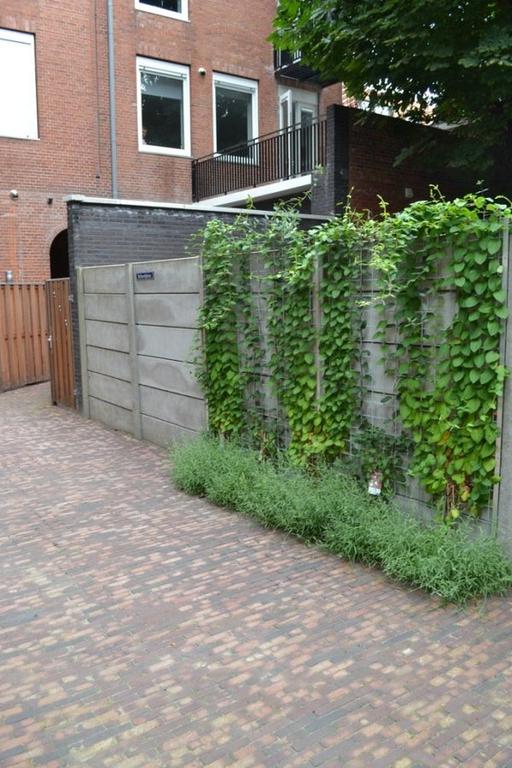 Appartement met groot dakterras in de Schildersbuurt - Afbeelding 15