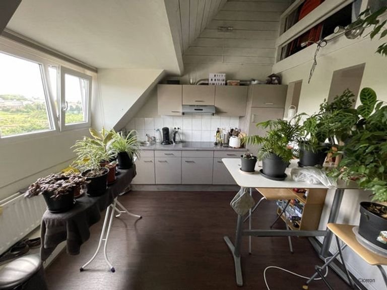 60 m2 studio in the heart of Sittard - Image 7