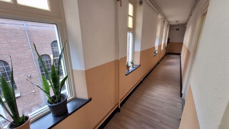Lichte studio bij het Wilhelminapark - Afbeelding 3