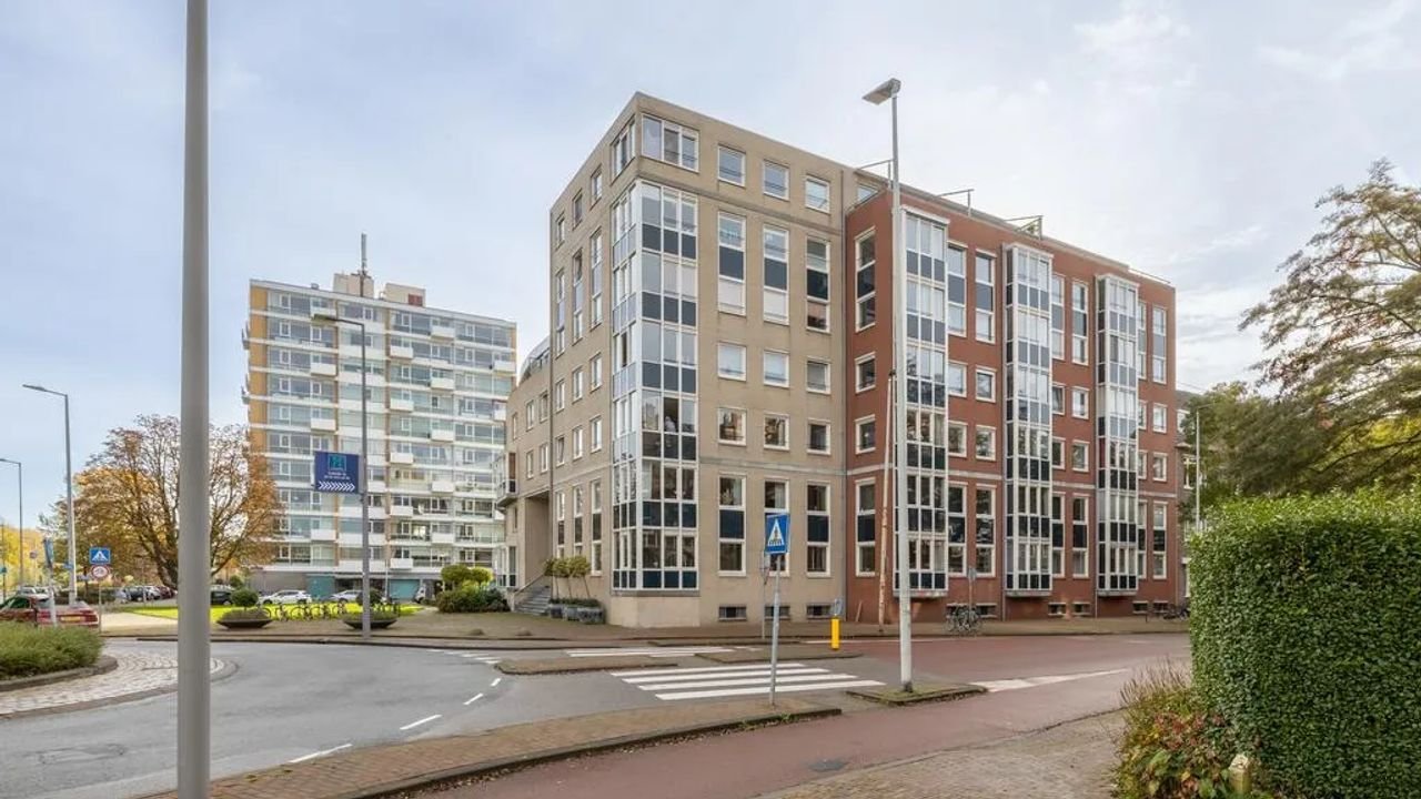 Uitzicht op de Kralingse Plas - Afbeelding 2