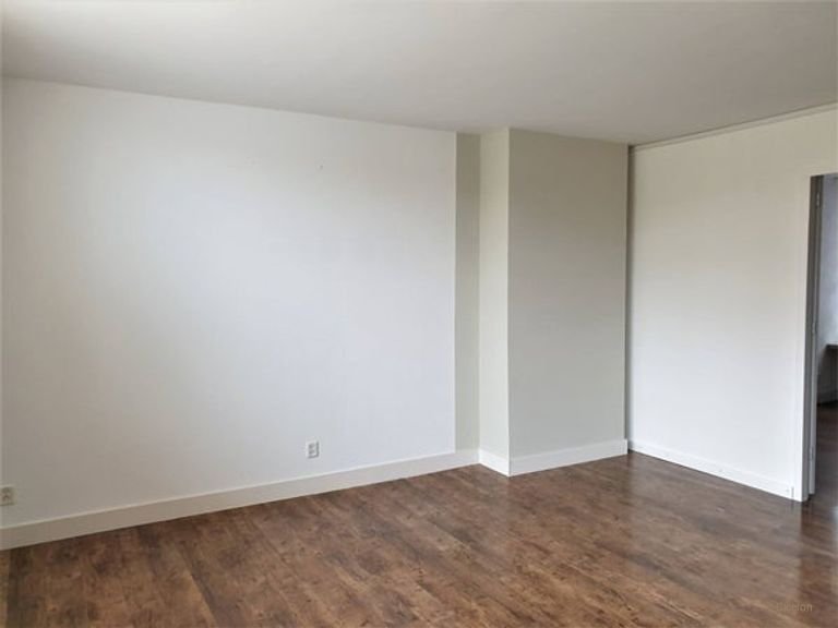 Furnished room with garden in Badhoevedorp - Image 8