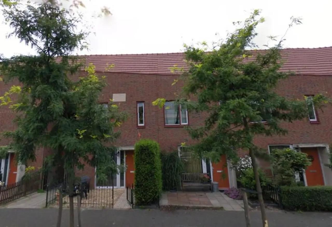 Vrij uitzicht en tuin in Singels - Afbeelding 1