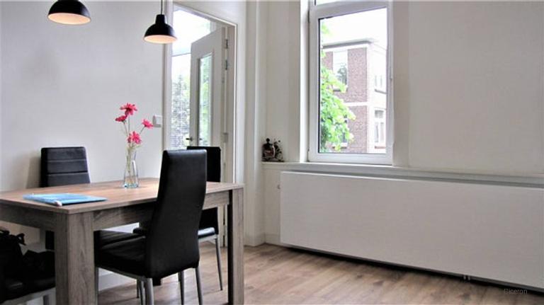 Gemeubileerd 55m² in Bomenbuurt - Afbeelding 3