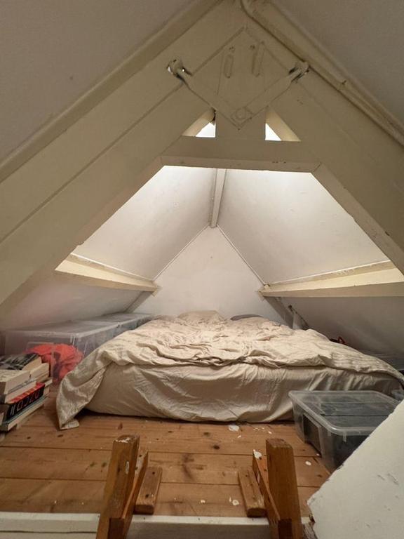 Room with sleeping loft in Woensel-West - Image 4