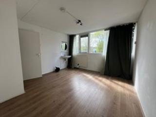 Kamer met tuin vlakbij Zernike - Afbeelding 2