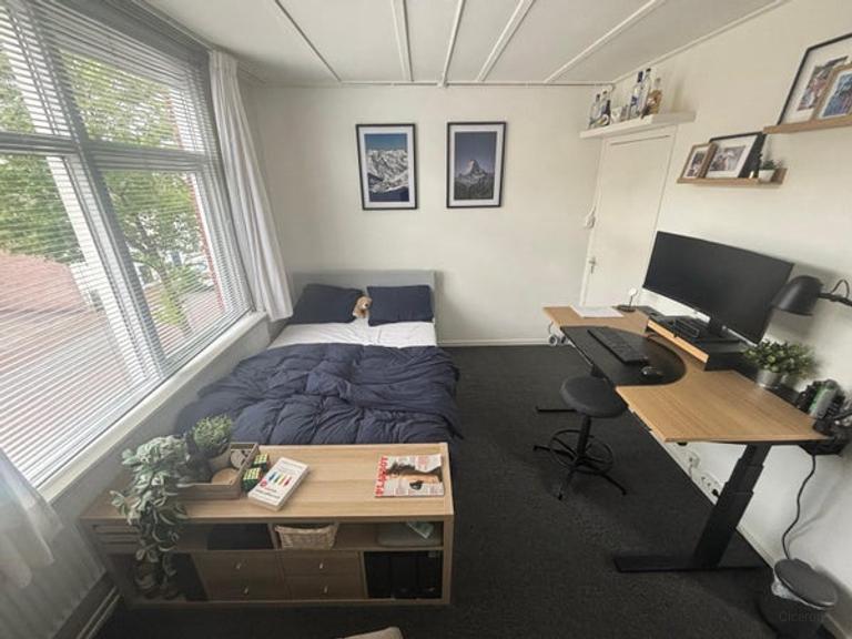 Student Room with Garden in Tubantia - Image 2