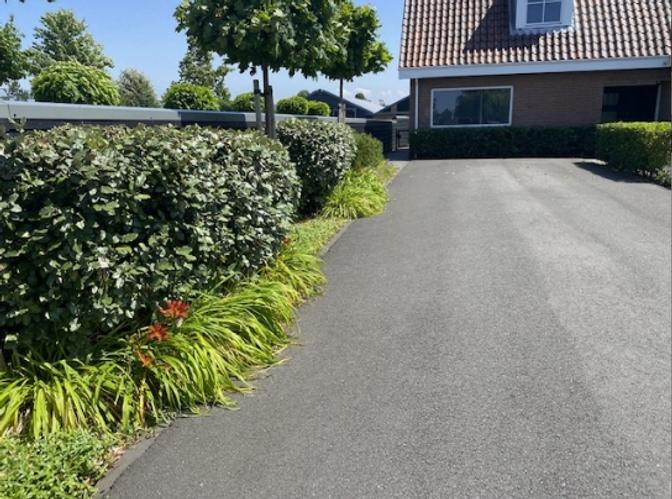 Property on Heermanszwet in Rijsenhout - Image 40