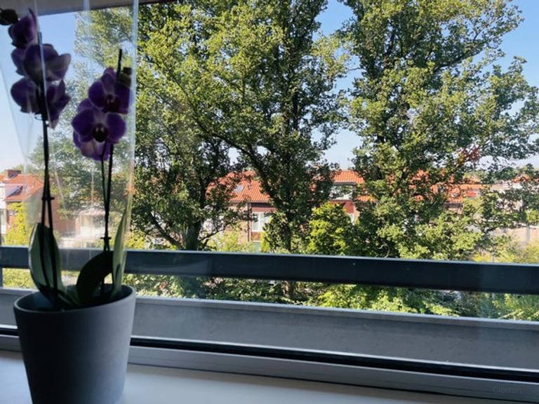 2-kamerappartement met balkon in Stadshart - Afbeelding 16