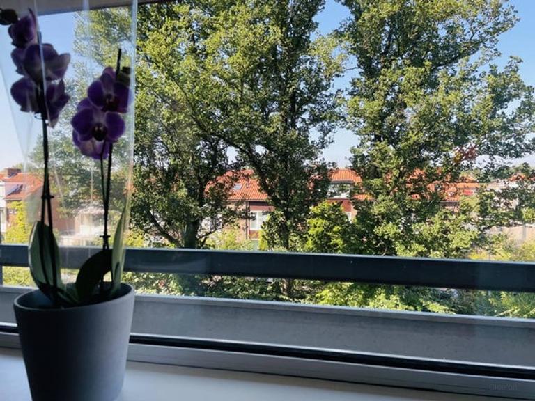 80 m² apartment with balcony in Stadshart - Image 16
