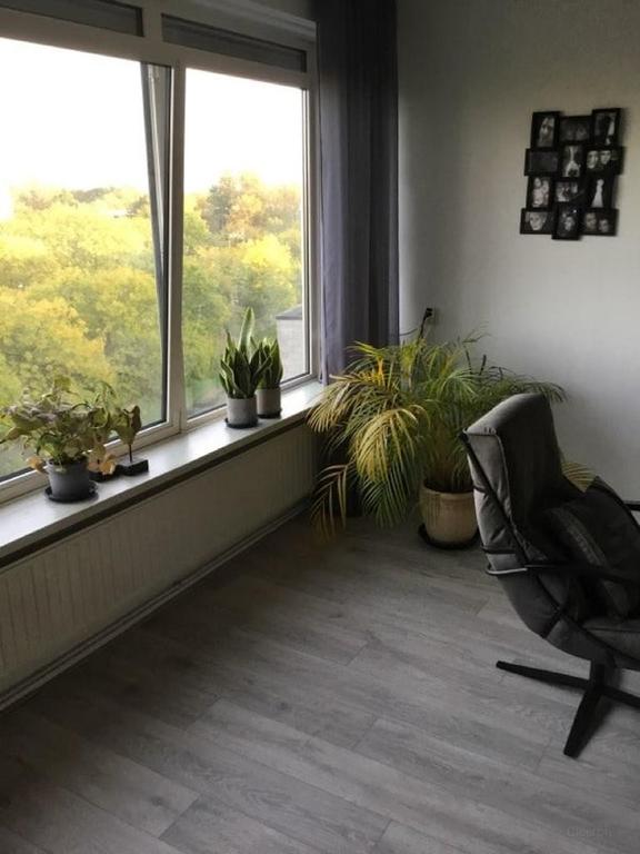 Bright apartment with balcony in Leiden - Image 4