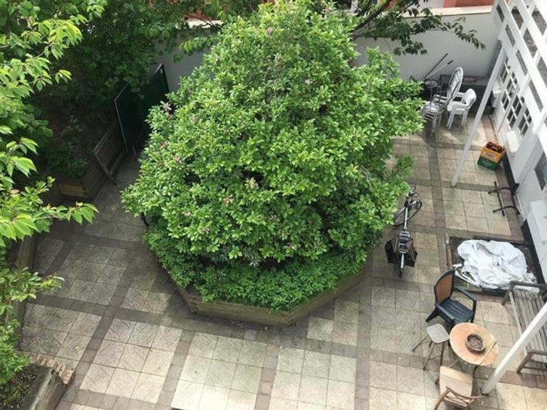 Studio met tuin vlak bij strand - Afbeelding 7