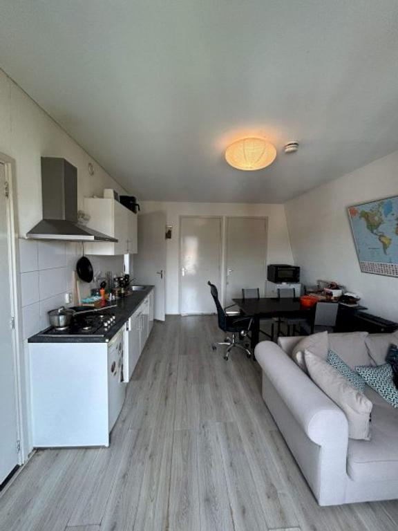 2-slaapkamerappartement met tuin in Hortusbuurt - Afbeelding 3