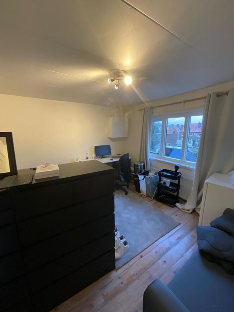 Studentenkamer met dakterras in Arnhem - Afbeelding 3