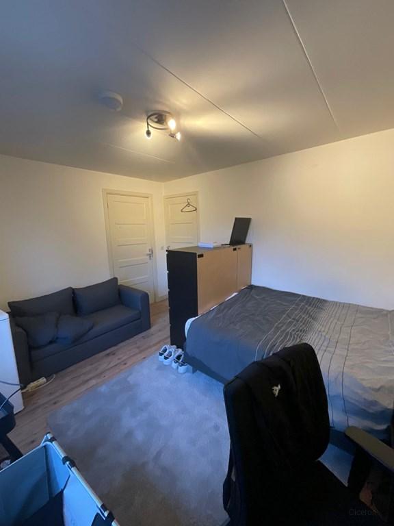 Studentenkamer met dakterras in Arnhem - Afbeelding 4