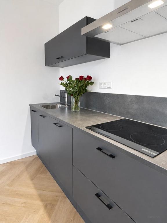 Nieuw 3-kamer appartement Hyde Park - Afbeelding 5