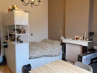 Student Room (18m²) in Statenkwartier