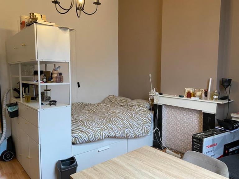 Student Room (18m²) in Statenkwartier - Image 1