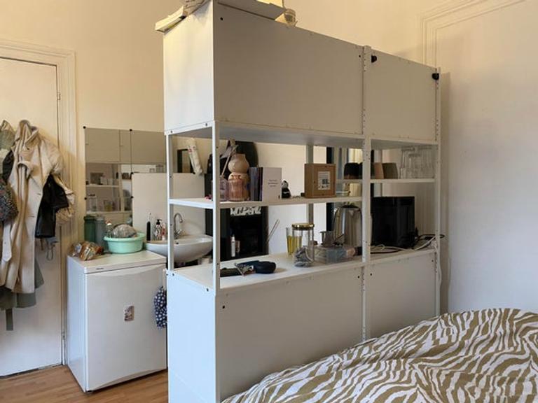Student Room (18m²) in Statenkwartier - Image 3