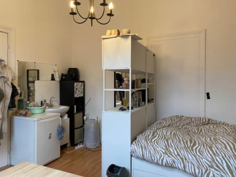 Student Room (18m²) in Statenkwartier - Image 4