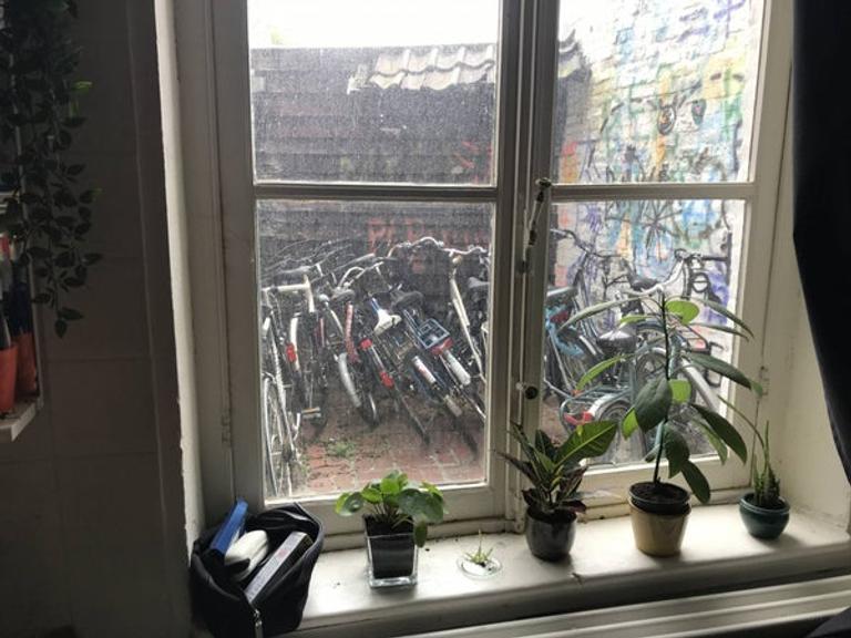 Student Room in Statenkwartier - Image 6