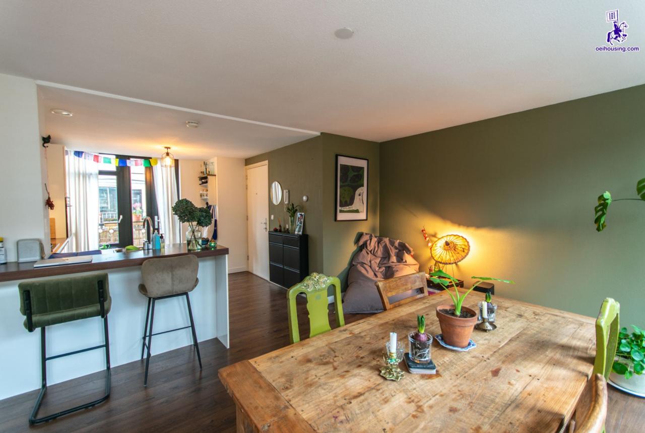 Furnished Apartment in Czaar Peterbuurt - Image 10