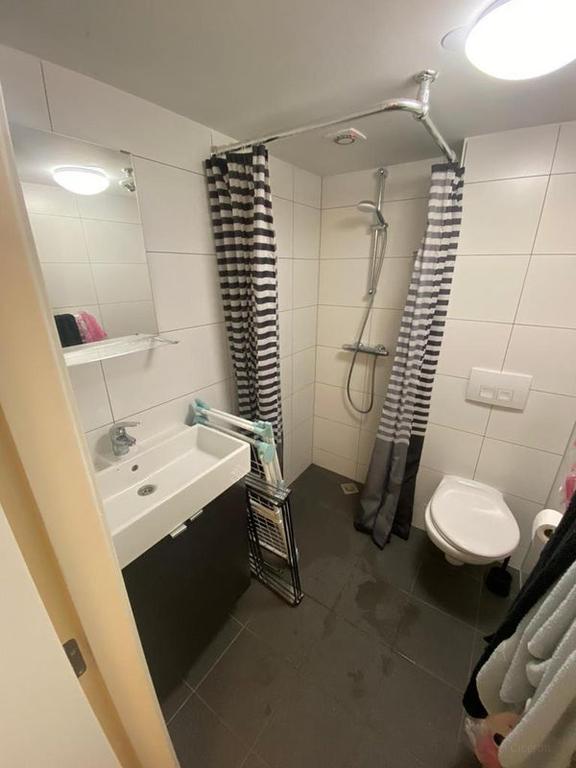 Furnished studio for one lady in Zuilen - Image 10