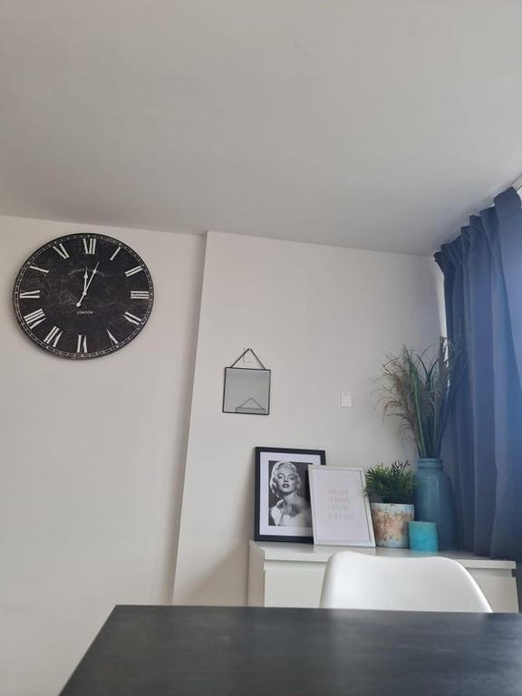Furnished studio for one lady in Zuilen - Image 5
