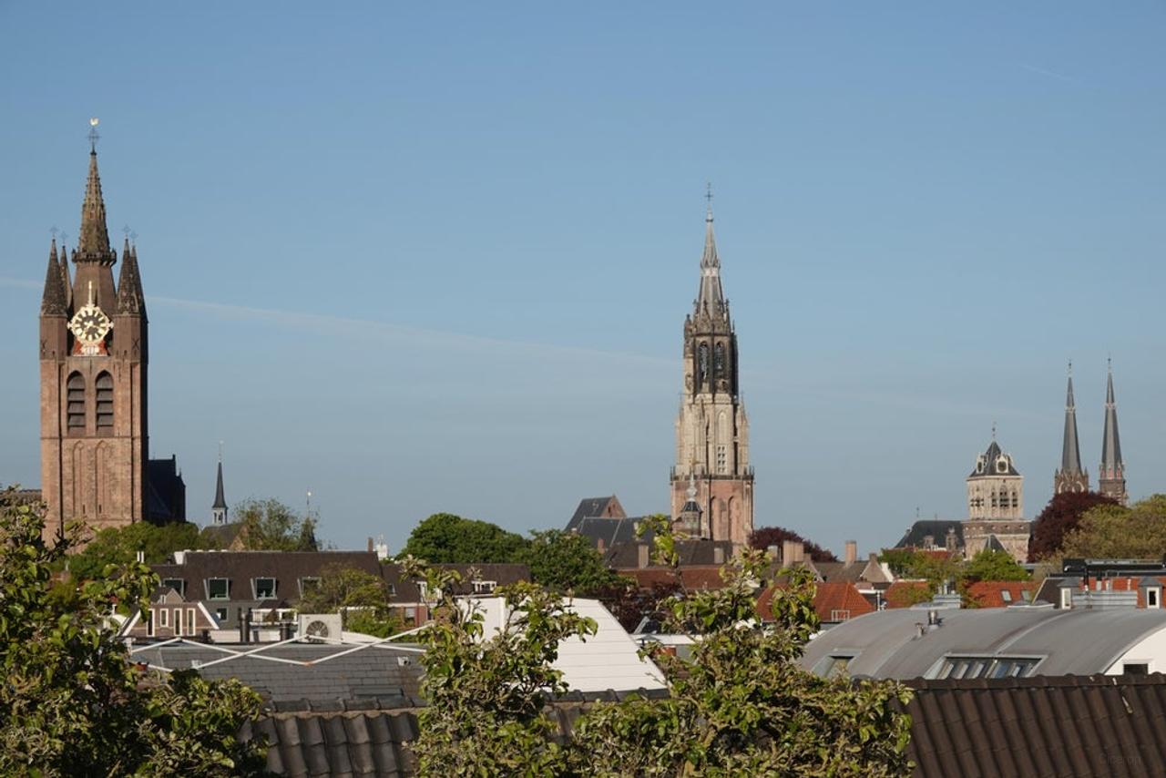 Dakterras en 3 balkons in Delft - Afbeelding 11