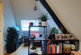 2-room apartment with balcony in Breda - Image 4