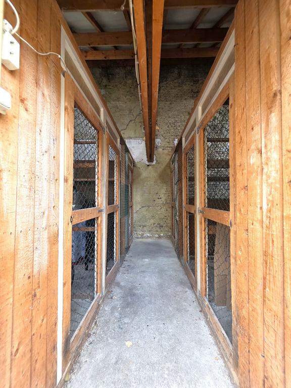 Apartment in former town hall Geulle - Image 15