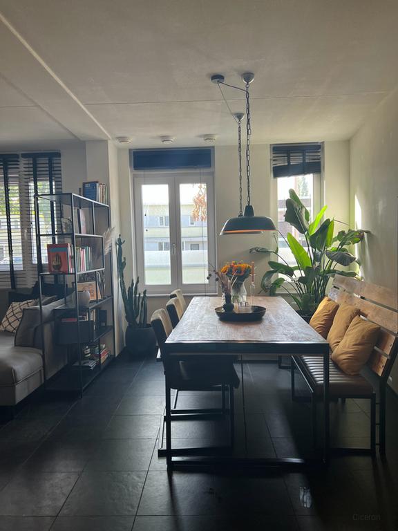 84 m² apartment with terrace near the IJzeren Vrouw - Image 4