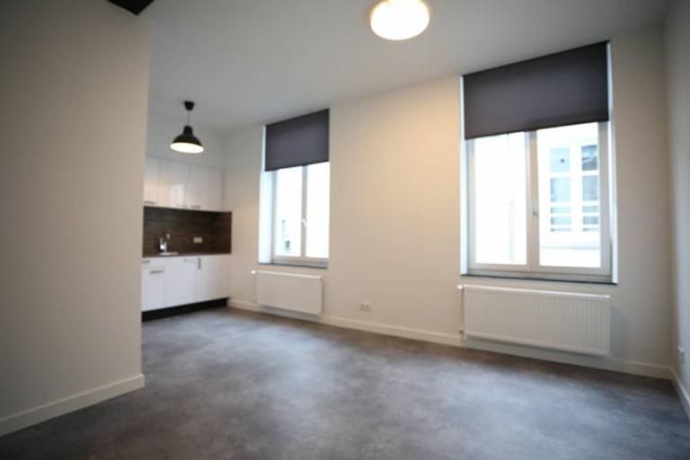 Gemeubileerde studio in rustig centrum - Afbeelding 5