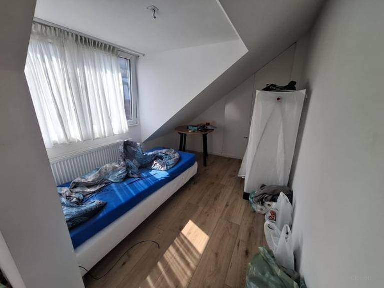 House with 6 bedrooms and garden in City Center - Image 4