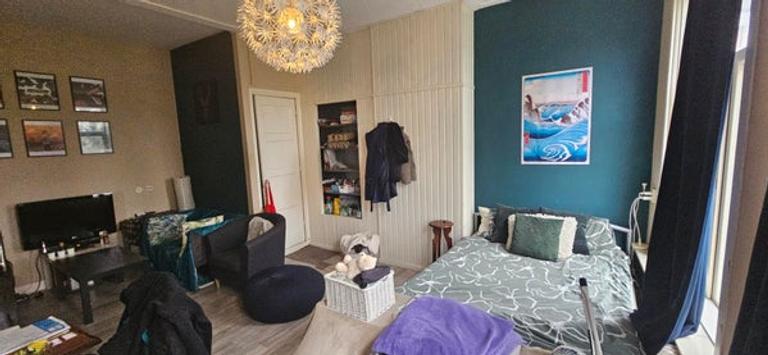 Lichte studentenkamer (23m²) bij Noorderplantsoen - Afbeelding 7