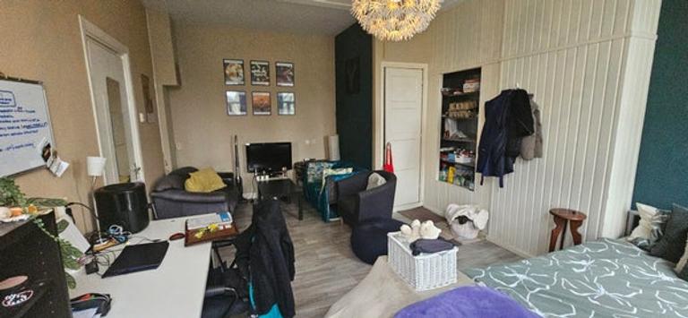 Lichte studentenkamer (23m²) bij Noorderplantsoen - Afbeelding 4