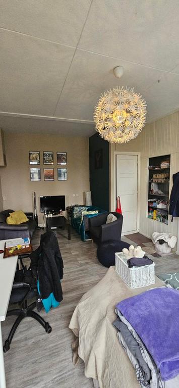 Lichte studentenkamer (23m²) bij Noorderplantsoen - Afbeelding 5