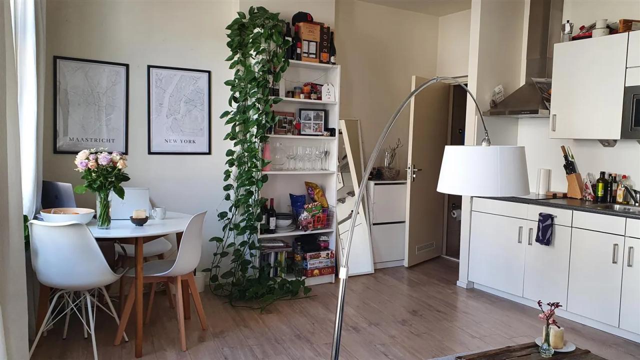 Studio with open kitchen in Statenkwartier - Image 1