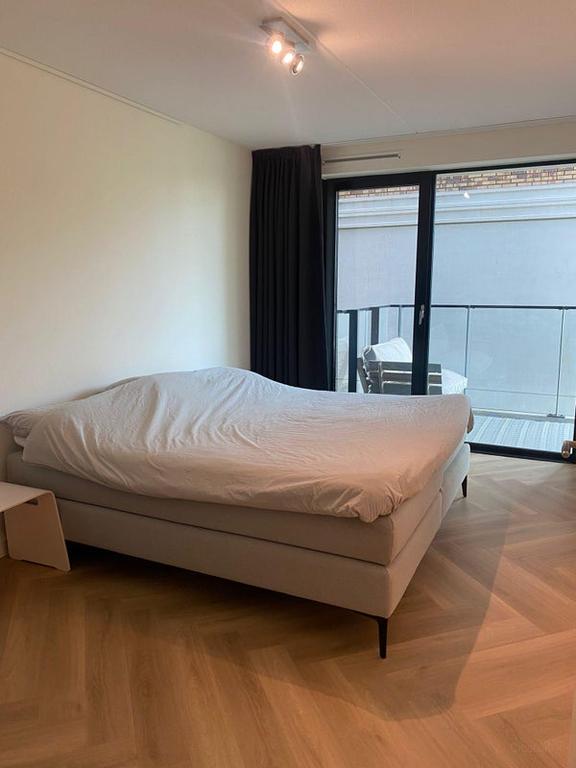 A+ appartement in Paleiskwartier - Afbeelding 8
