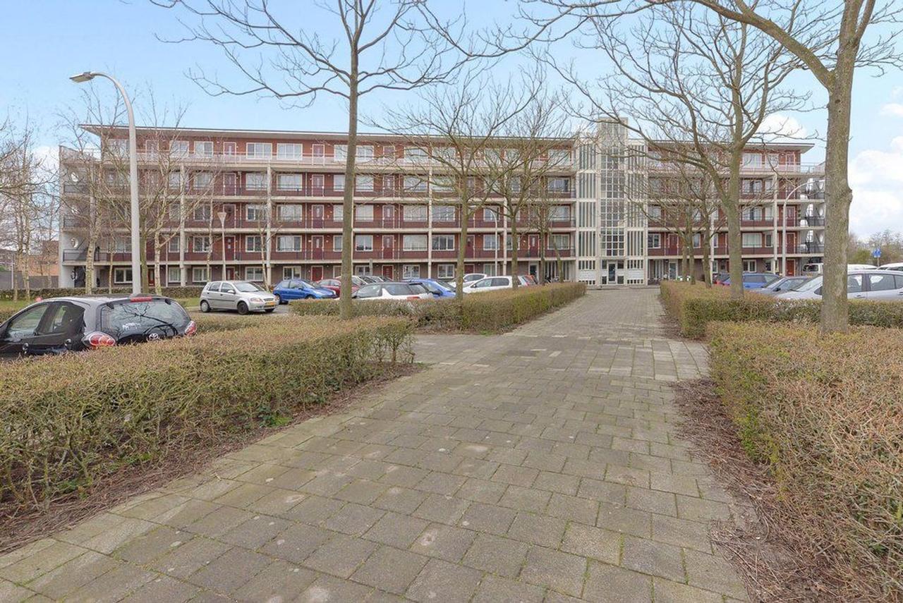 Licht 3-kamerappartement met balkon in Emerald - Afbeelding 18