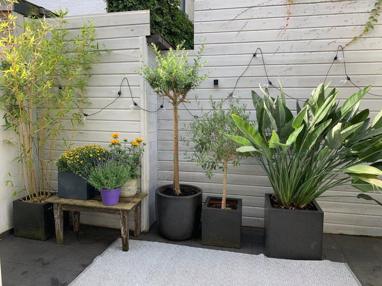 Bright terraced house with patio - Image 13