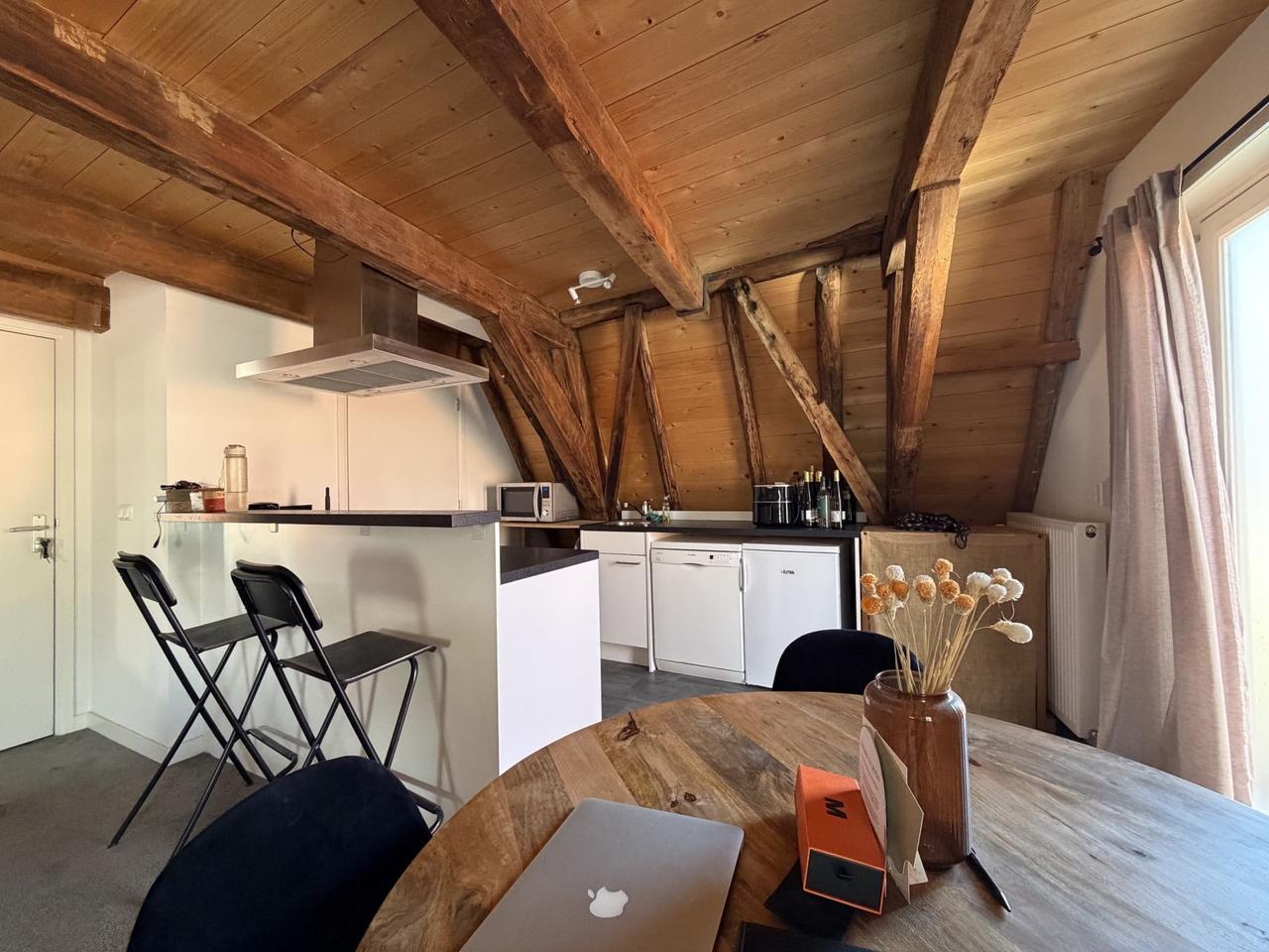 Videappartement in hartje Zwolle - Afbeelding 5