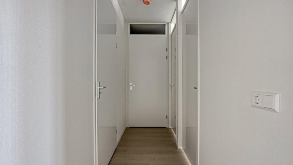 Brand New 3-Room Apartment (87m²) in Elzenhagen - Image 3